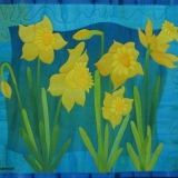 Daffodils
