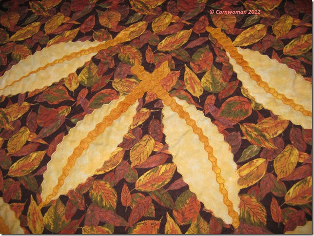 Table Runner Quilting Detail C_thumb[1]