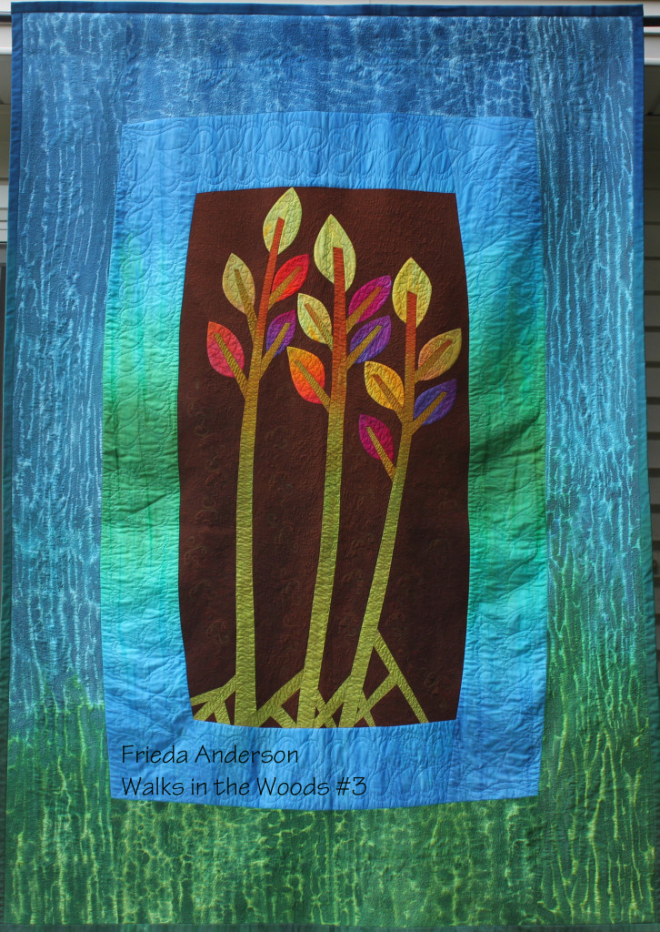 Frieda Anderson Walks in the Woods #3